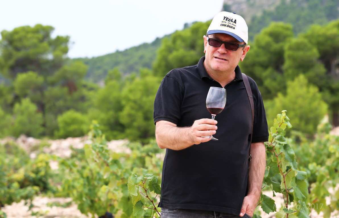 Resumen en fotos de Feria del Vino 2017 por el fotógrafo Medina